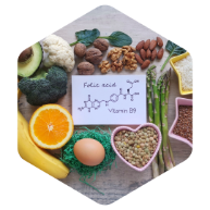 what-is-folic-acid