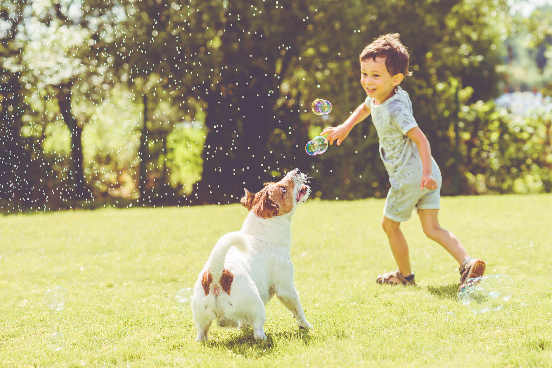 Kid playing with dog