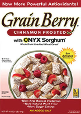 Cinnamon Frosted Shredded Wheat Grain Berry