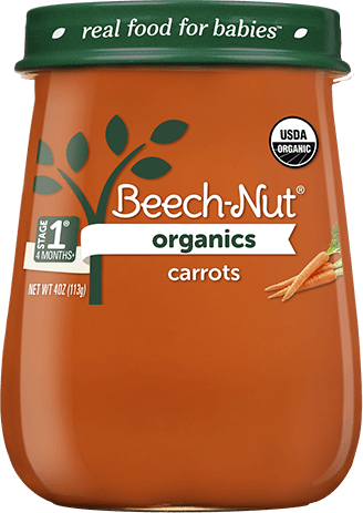 Beech-Nut Organics Fruit