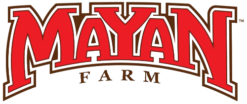 Mayan Farm corn tortillas